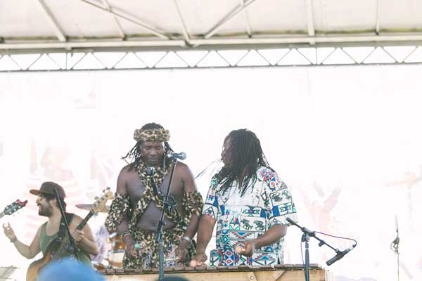 Zimbabwe music Australia