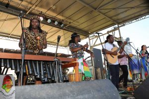 Africiculture-Festival